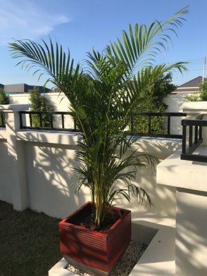 HOT Bargains Luxury pool villa near Palm Hills golf club north Hua Hin