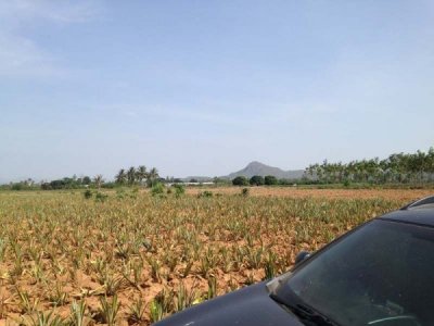 3.5 Rai of Lovely Land, nr main road with great views Hua Hin