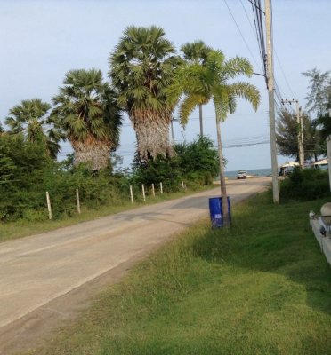 Beautiful Land for sale only 50 Meter to the Beach 🔥@ Pak Nam Pran,Pranburi