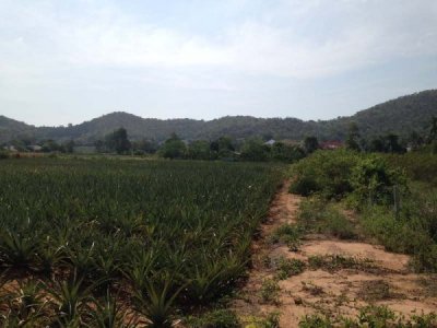 3.5 Rai of Lovely Land, nr main road with great views Hua Hin