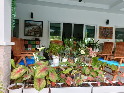 Luxury 5 Bed Pool Villa Near Palm Hills Golf Course Villa Property Hua Hin