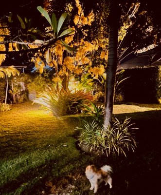 🔥H😲t Deal🔥🔥Beautiful Pool Villa 6,250,000 Baht🔥 soi 112 Hua Hin