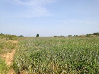 3.5 Rai of Lovely Land, nr main road with great views Hua Hin