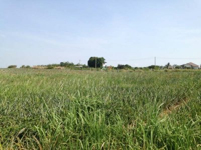 3.5 Rai of Lovely Land, nr main road with great views Hua Hin