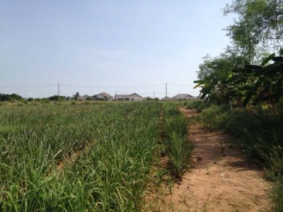 3.5 Rai of Lovely Land, nr main road with great views Hua Hin