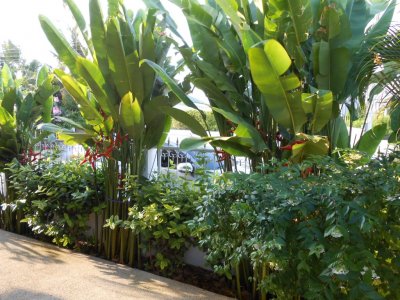 Nice villa 100 sqm pool in area 5 minutes city Hua Hin