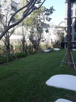 Marvest Huahin 1 bed apartment in city Hua Hin