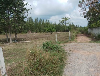 6 Rai of land for sale behind Orchid Palm Homes, top of Soi 88 Hua Hin