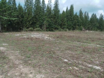 6 Rai of land for sale behind Orchid Palm Homes, top of Soi 88 Hua Hin