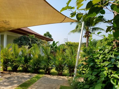 Orchid Palm Home Residence pool villa soi 88 Hua Hin