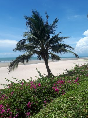 Condo Cliff & Beach 2 bed 138 sqm Cha-Am