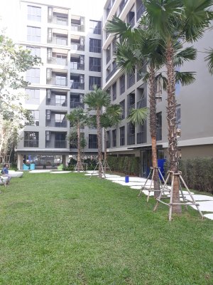 Marvest Huahin 1 bed apartment in city Hua Hin