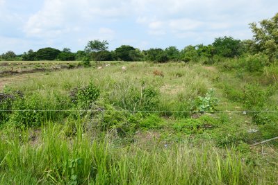 Land plot in Pak nam pran Pranburi 53,68 rai