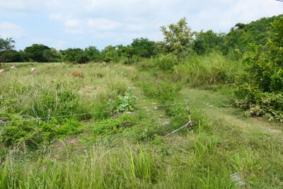 Land plot in Pak nam pran Pranburi 53,68 rai
