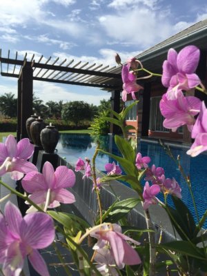 Big pool villa Palm Hills Golf Club in Hua Hin, Thailand