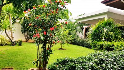 Orchid Palm Home Residence pool villa soi 88 Hua Hin